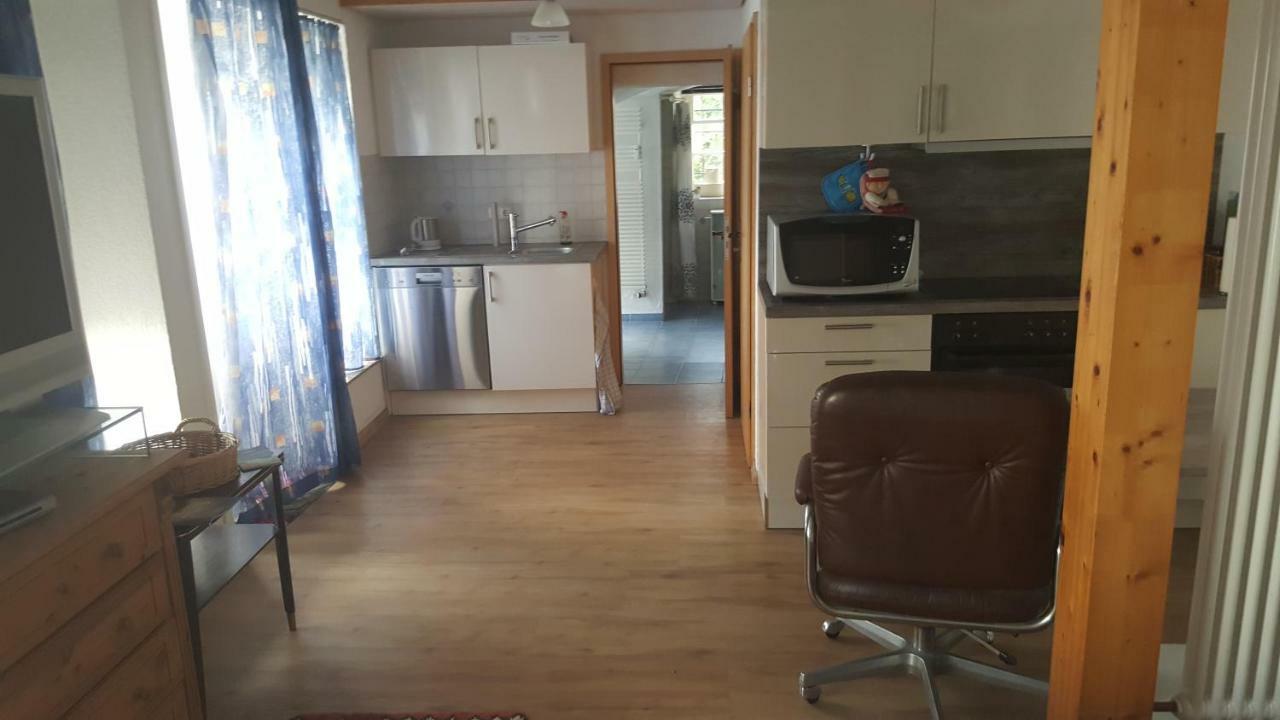 Sonnenschein Wehr Apartment Wehr  Bagian luar foto